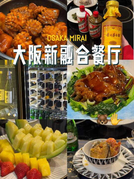 大阪🇯🇵新晋融合中餐厅🐻挽救我的中国胃‼️