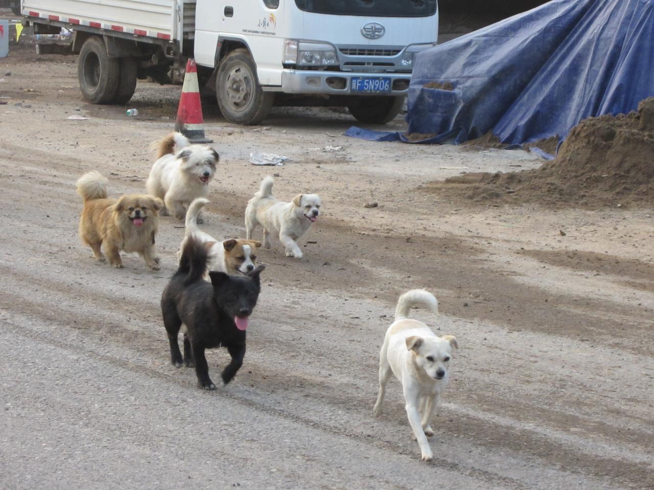 美国还在继续往中东调动轰炸机，霍尔木兹海峡成为了风浪口，美国和伊朗都在附近开展实