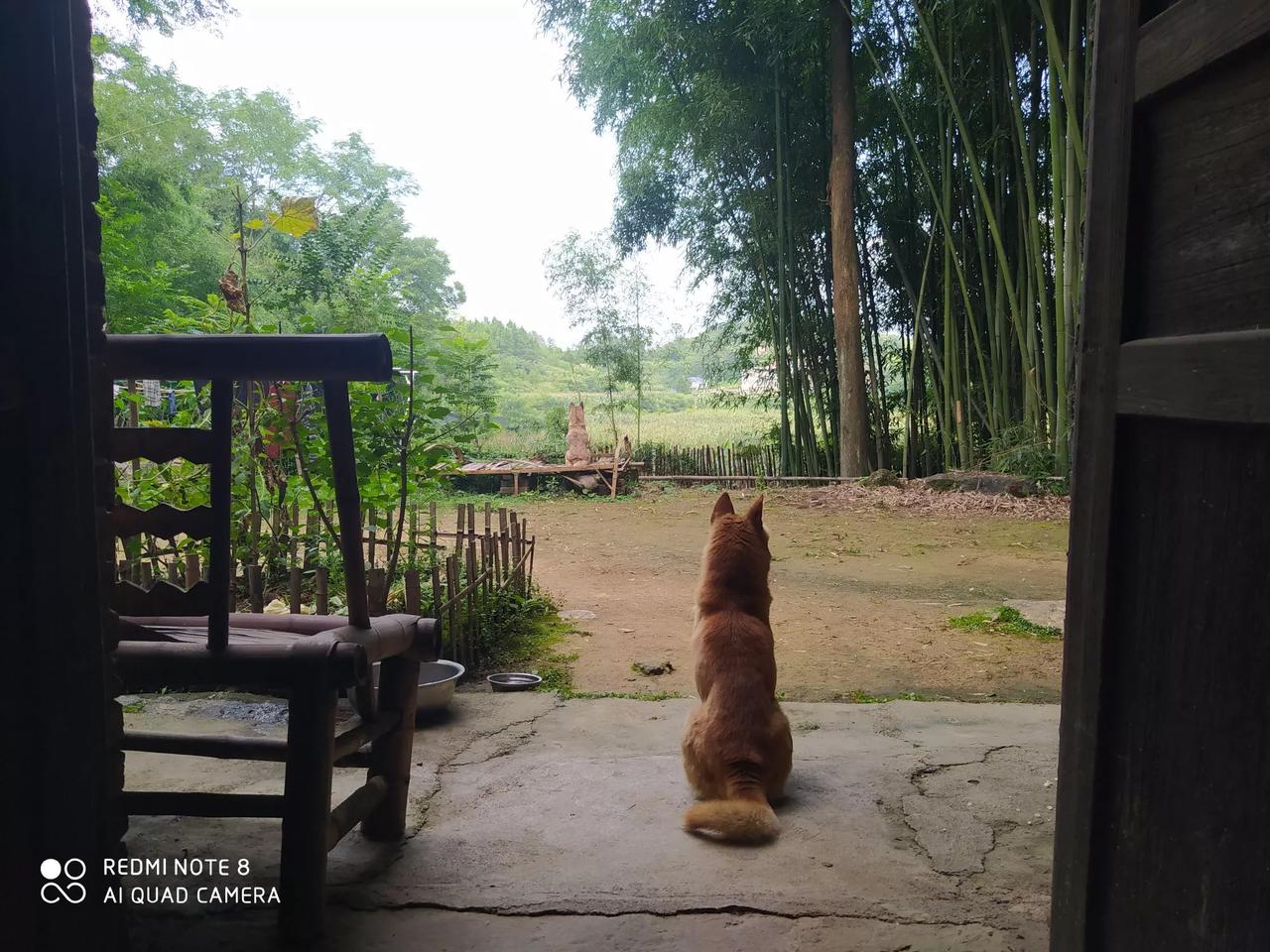 想问一下大家，照片上图3图4图5，到底是水瓜还是丝瓜呀？[捂脸]

有位粉丝朋友