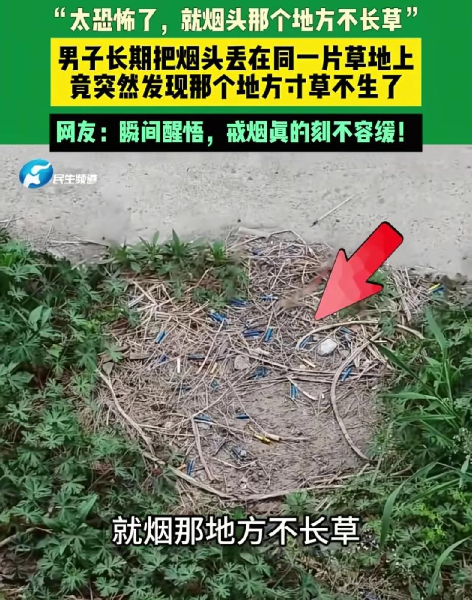 江苏男子五年烟头扔同一片草地，眼前一幕让他当场下定决心戒烟！

很多人总觉得抽烟