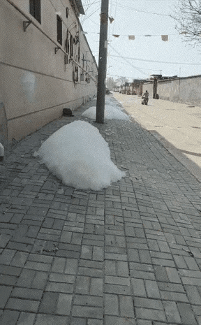 这竟然不是雪？