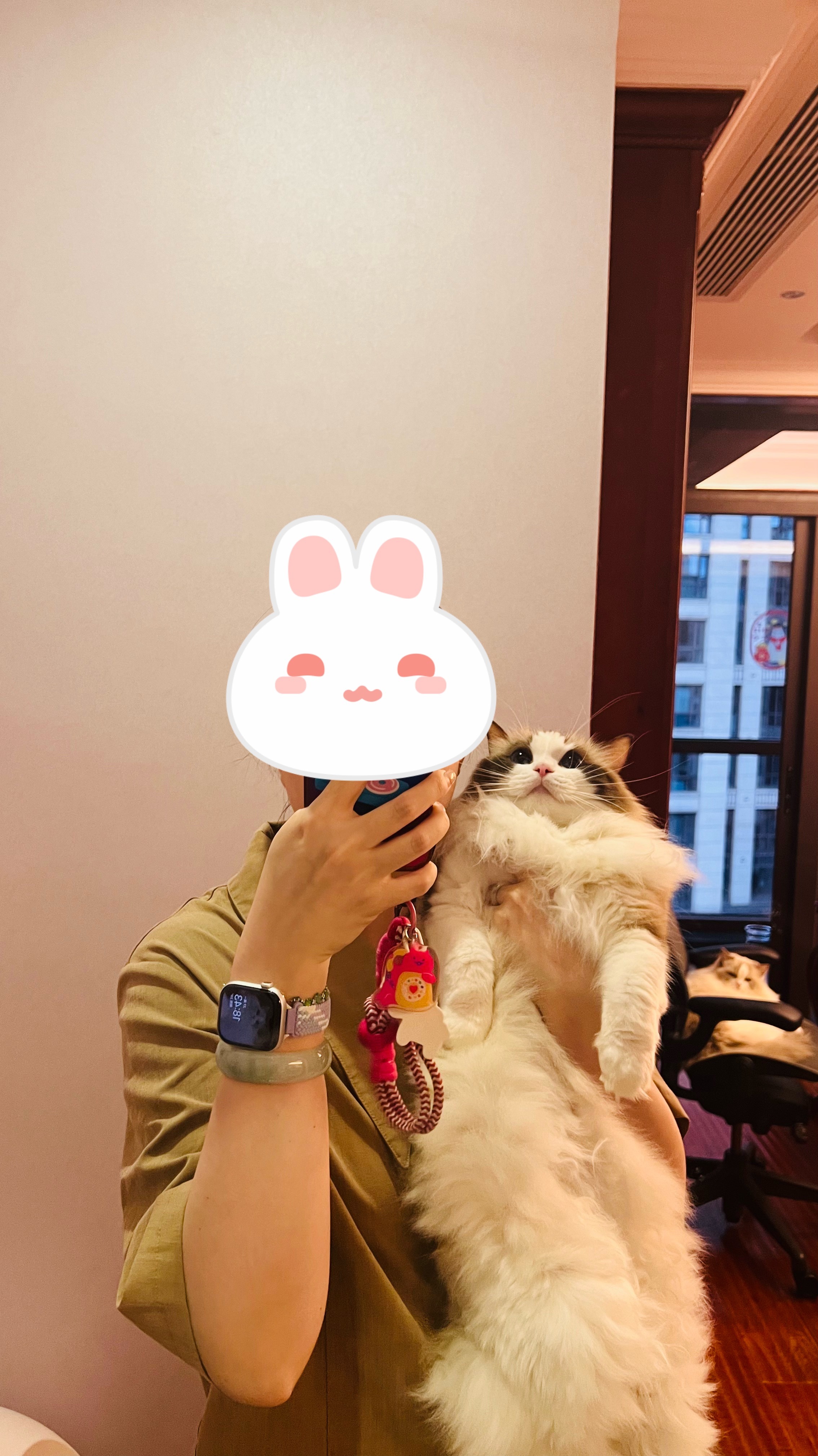 一回家就打着呼噜跟脚围着我转当然是选择跟乖女贴贴 