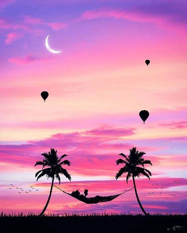 花店需要一枝花  可花不需要花店 花店需要的不止你这一枝 花也不只有你一朵#情感