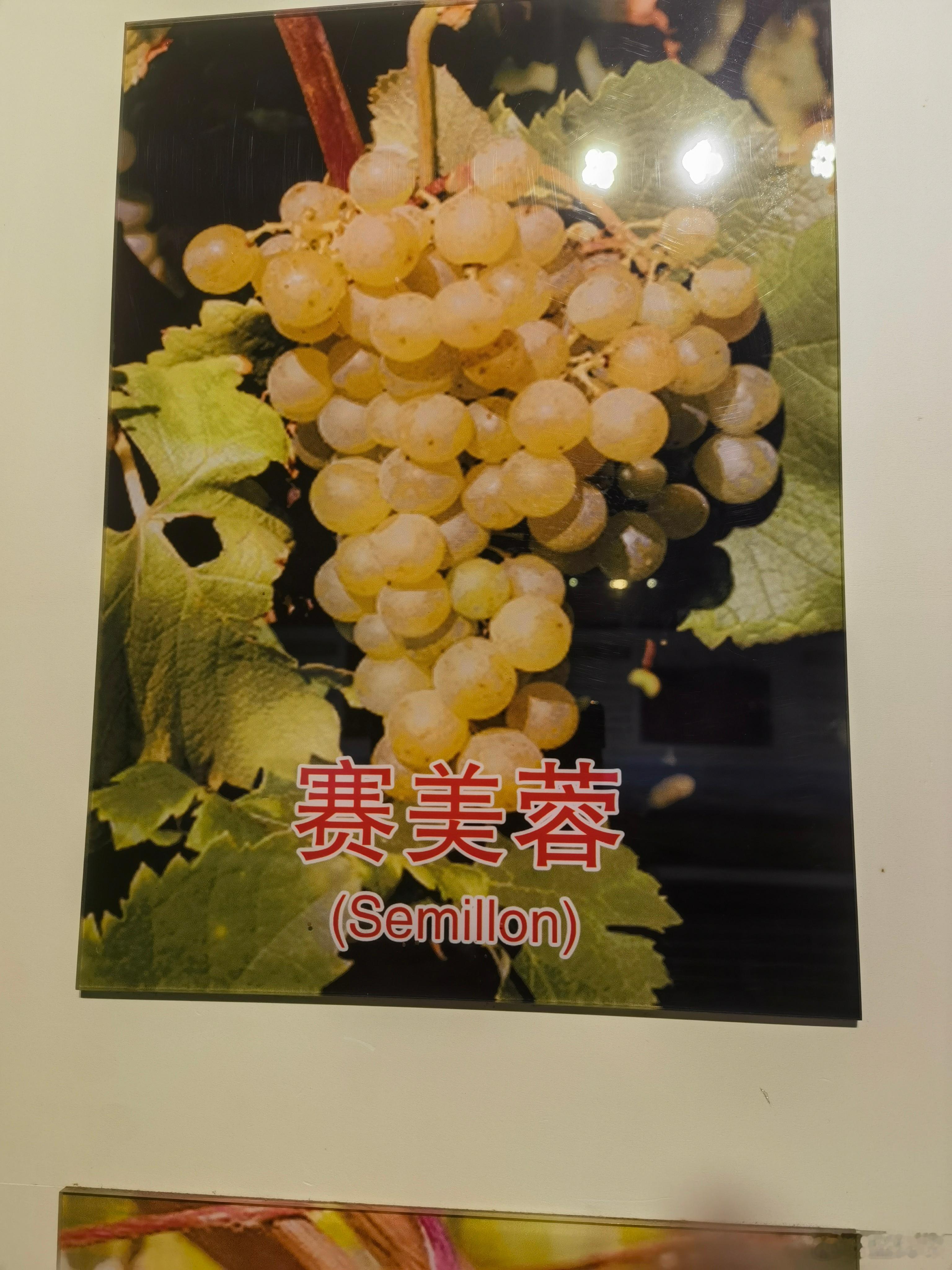 晚安晚安心语 1983年5月20日，中国第一瓶干红葡萄酒在秦皇岛的华夏葡萄酒厂诞