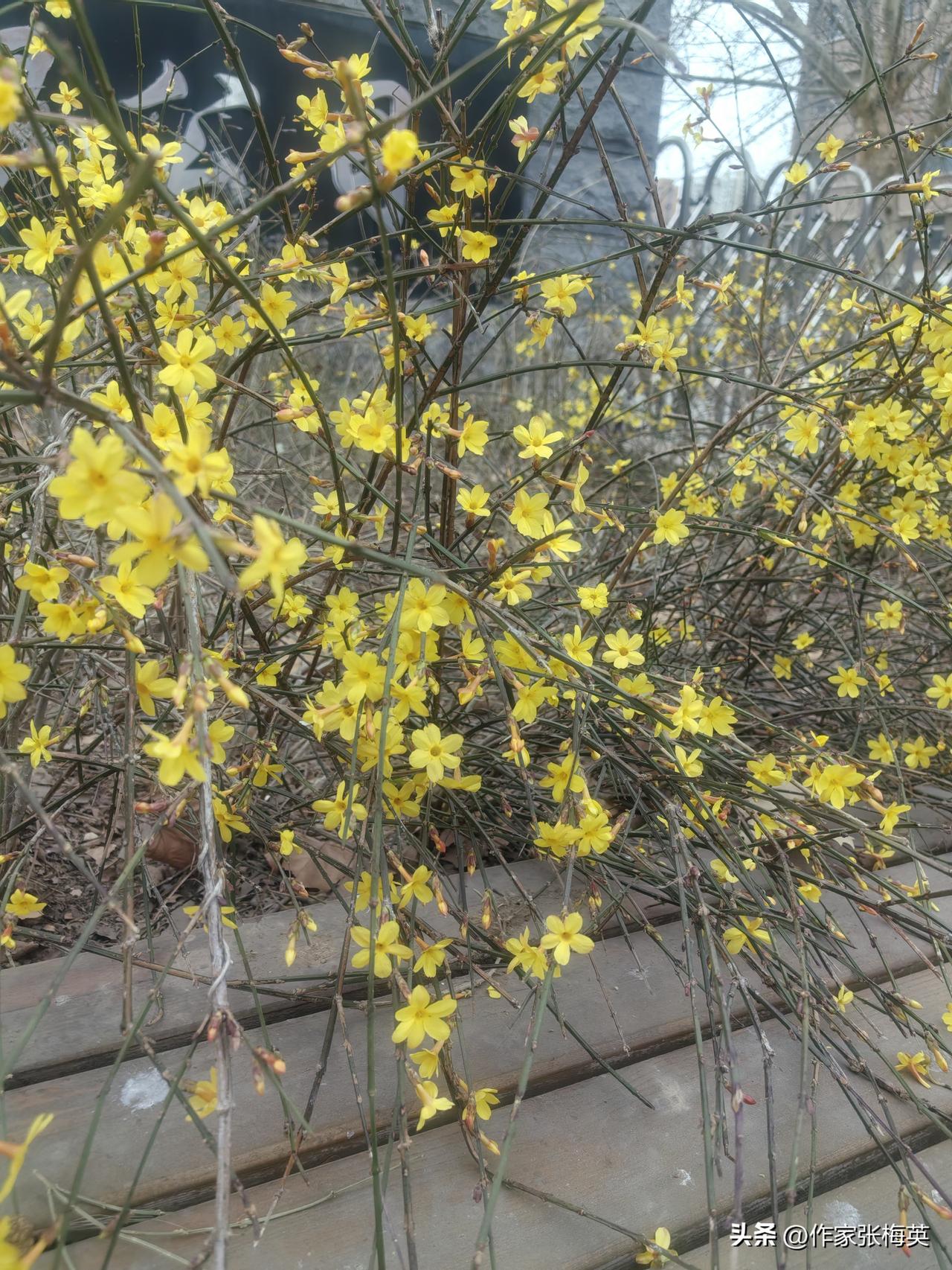 人这一生，很多时候本就是孤身一人。学会独处，不胡思乱想、不自我消耗，方能收获真正