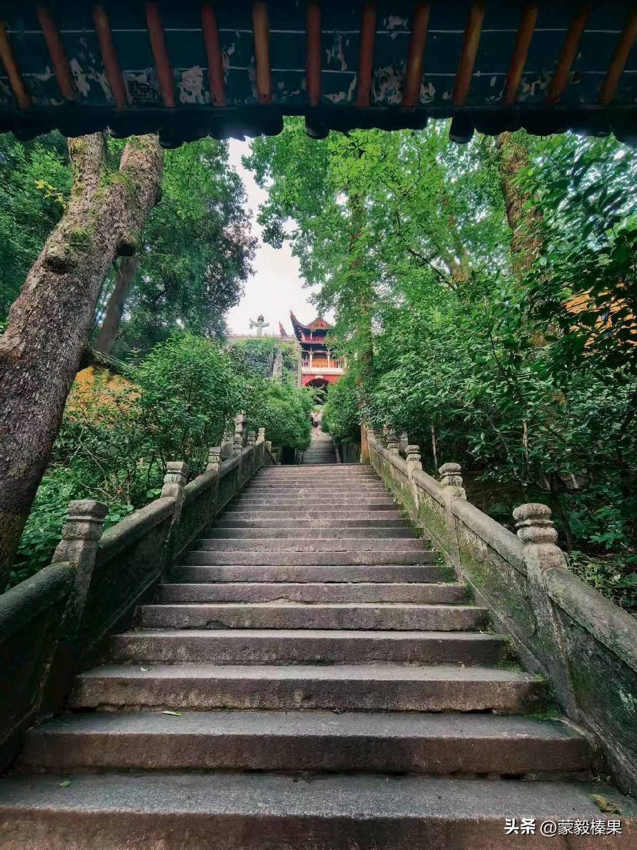 作者加速成长计划退休了，平时从来不打牌的老公，被几个爱打牌的山友，带会了打牌！这