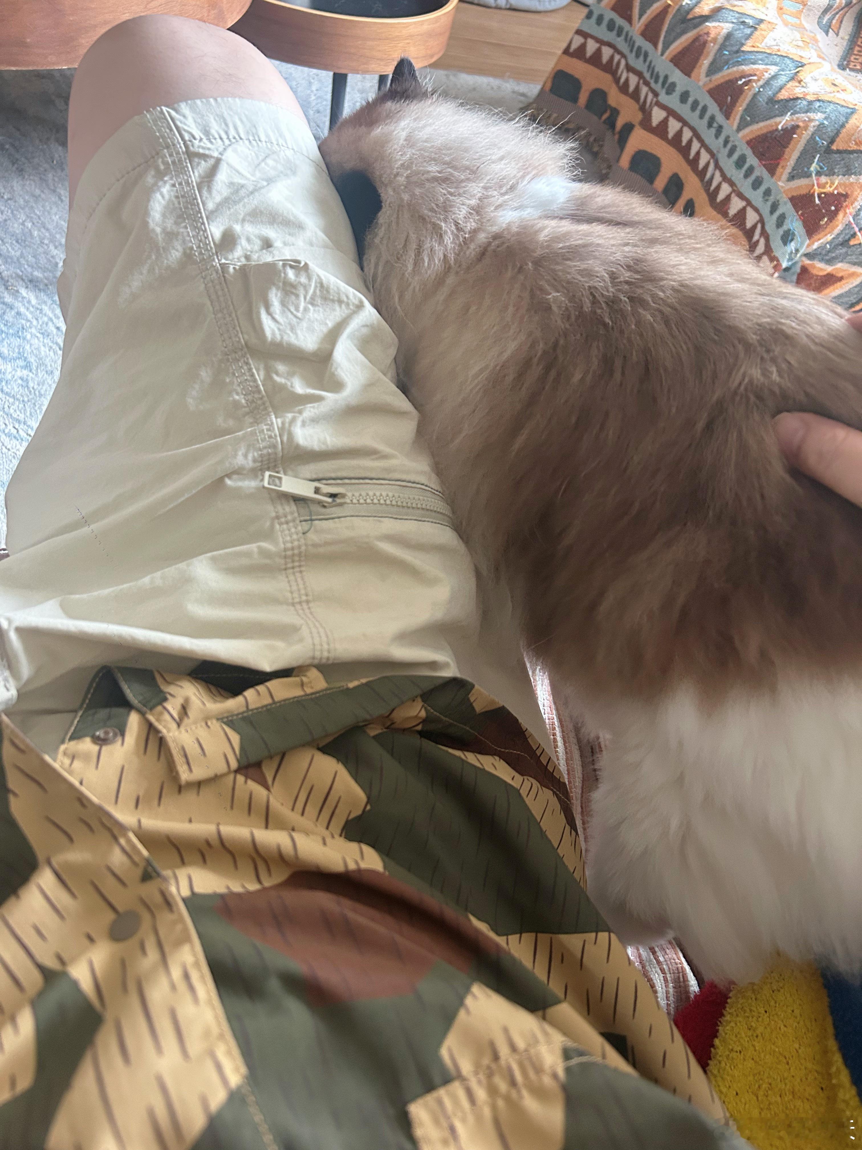 大眼睛 