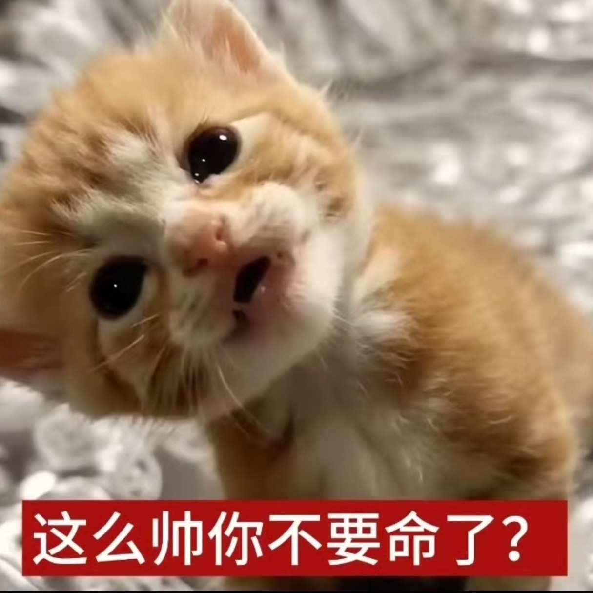 年上牛逼 年上赢麻了 