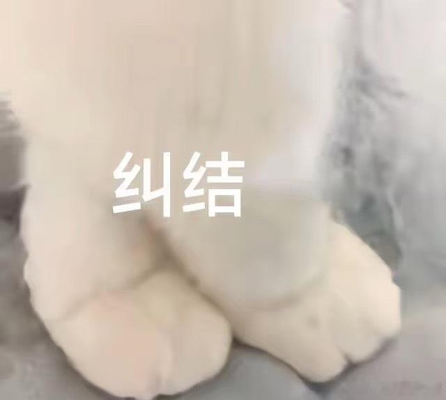 安卓 苹果，选苹果还是安卓，真的是绕不开的灵魂问题。其实我更偏爱苹果，主要是早年