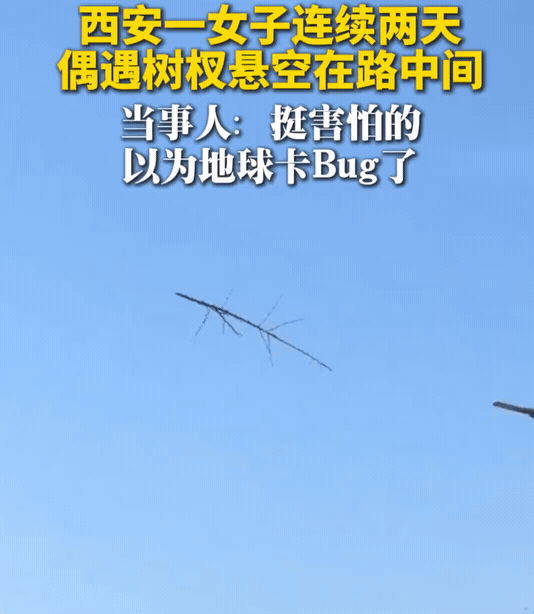 “彻底解释不清了！”西安，一女子在下班回家的路上，下意识抬头一看，竟然发现一根树