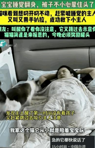 “万物皆有灵！”山东，一婴儿翻身时不慎被捂，熟睡的妈妈却浑然不觉。生死瞬间，家猫