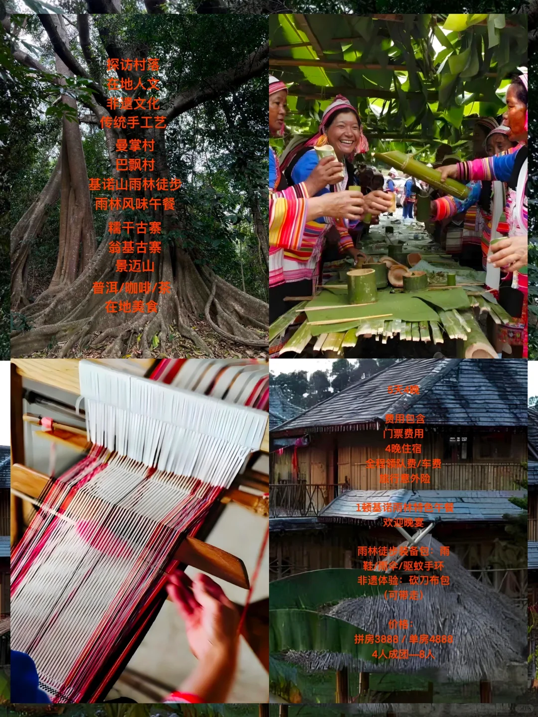 景迈山▬普洱5天4晚旅行招募 | only girls