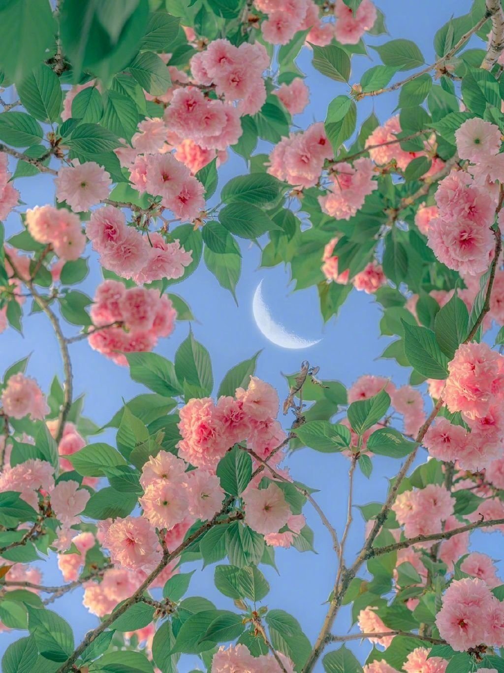 你想要的，马上到来 ​​​