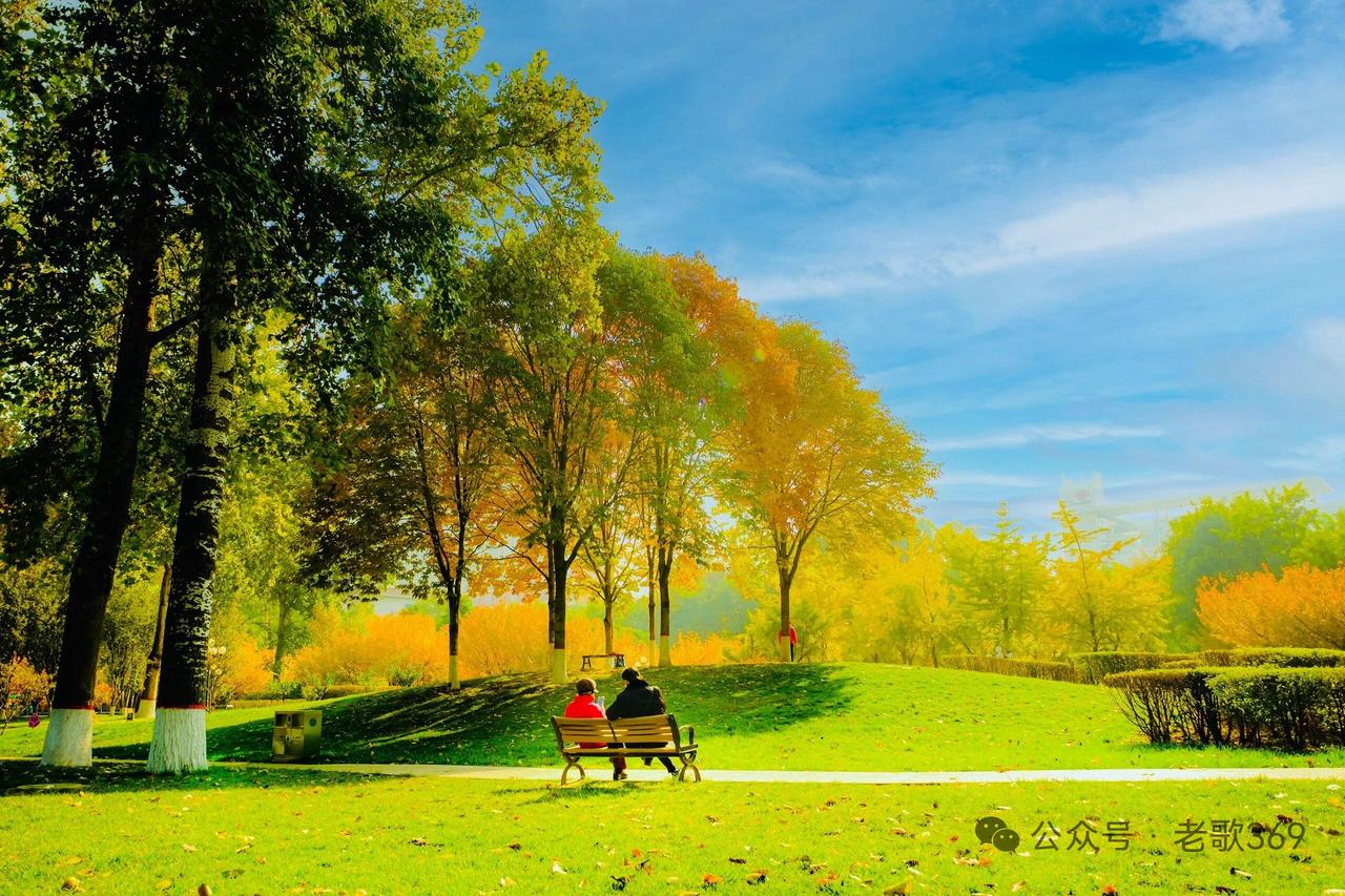 有和我一样的吗？听说经常用大脑，可预阿老年痴呆。退休后，我爱上了古诗词，去年一年