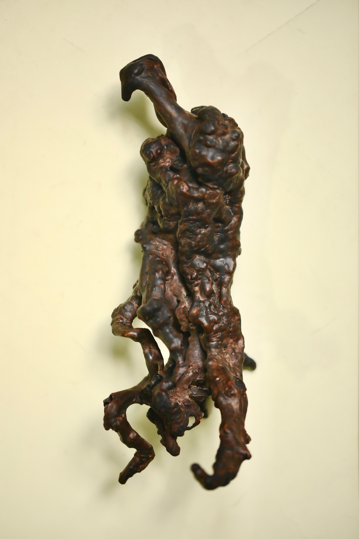 奇木清供 •佛手 