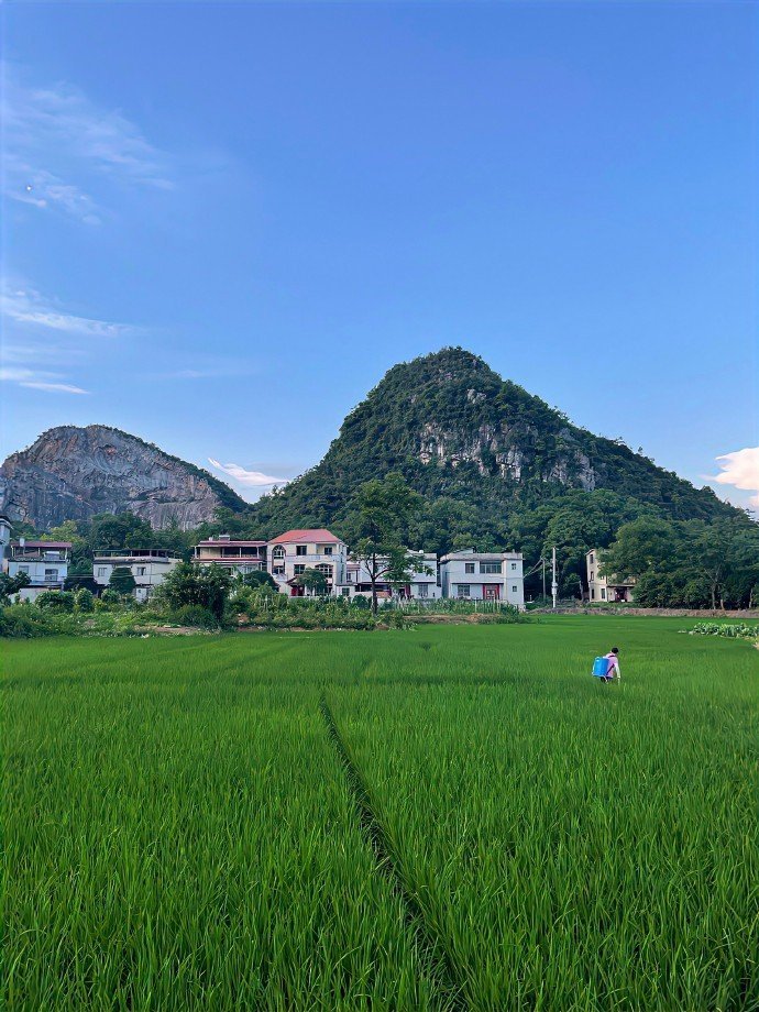 “ 乡村的田野风景平淡治愈且耐看 ”🏞️  