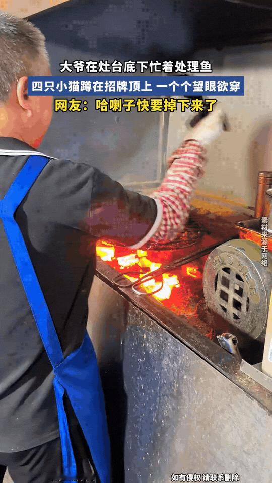 贵州这家小店，画面太可爱了！
大爷在灶台边忙着处理烤鱼，炉火滋滋作响。招牌顶上，