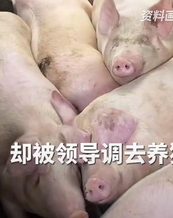一名干了多年的技术电工，被公司一纸通知调去猪场喂猪，岗位跨得八竿子打不着，员工拒