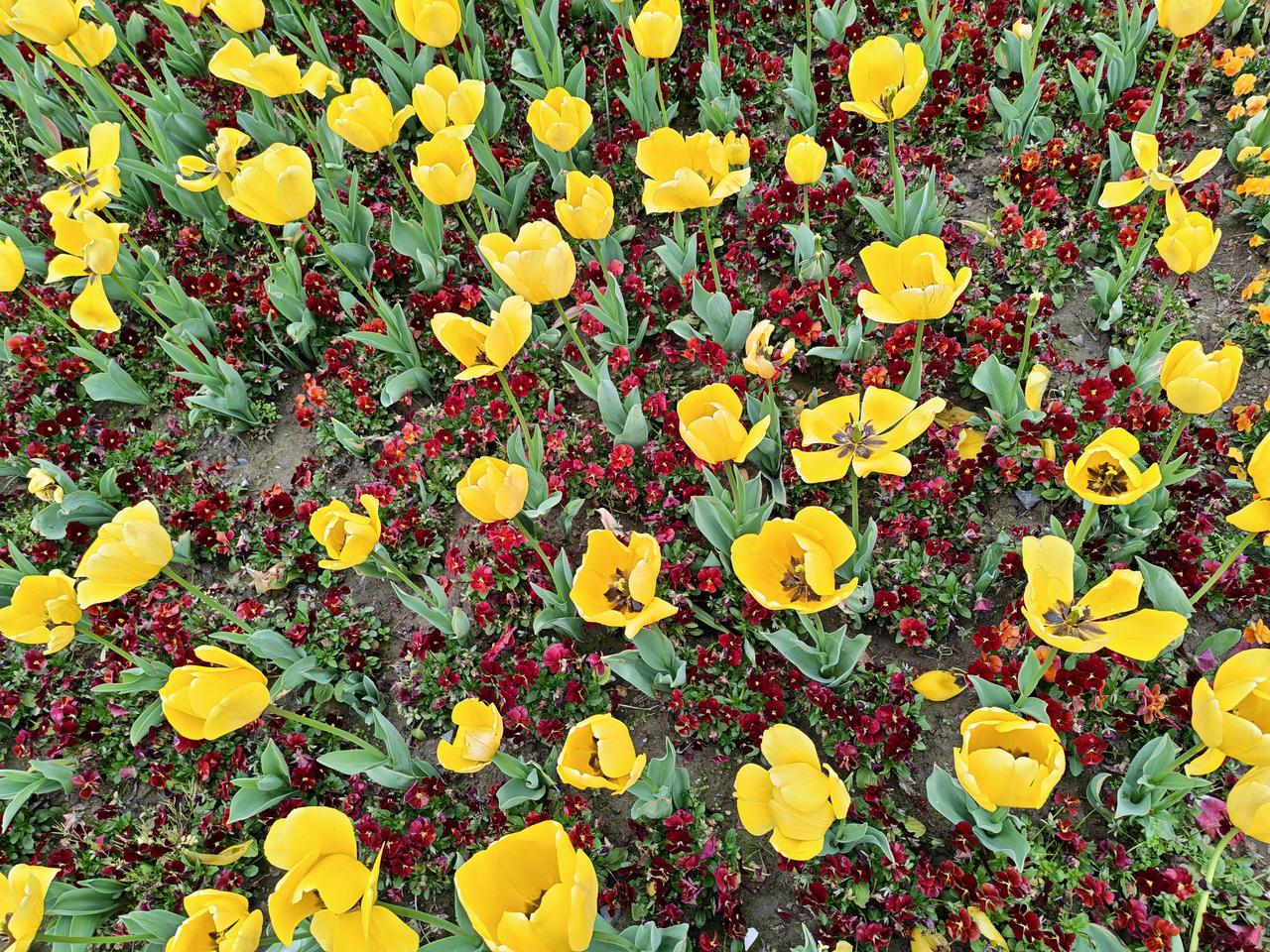 分享一下你随手的照片香色迷人[彩虹][彩虹][彩虹]