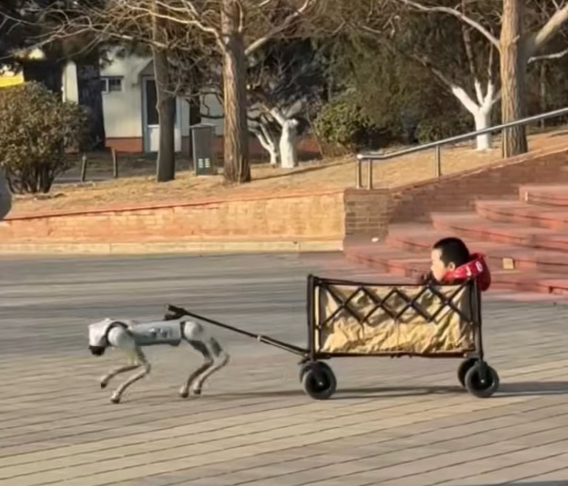 现在的机器人真的太抢戏了亦庄搞了个机器人马拉松朝阳公园还有机器狗遛娃话说这种机器