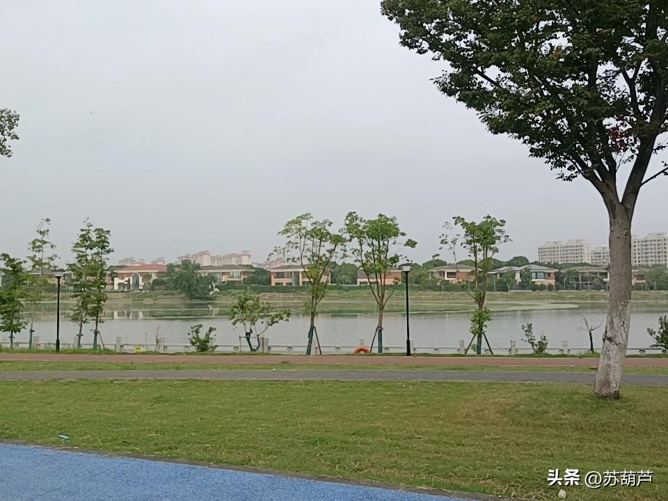 姚明才45岁都已经开始领养老金了，我等牛马何时能盼到领养老金的那一天？

NBA