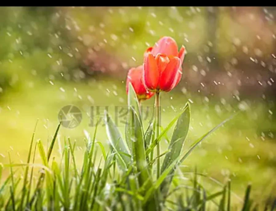 刷抖音，抖音的乐趣也不少
[微风][送自己一朵花][微风][微风][微风][送自