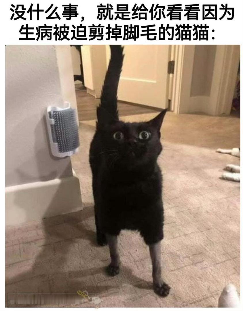 你可能真得看看这个 ​​​