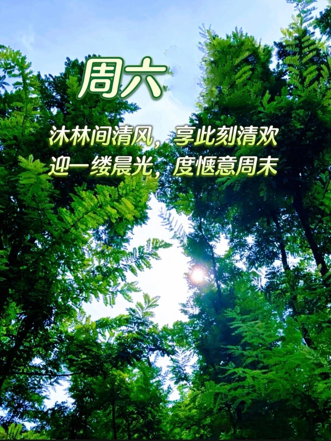 【世界是无意的】                      作者：曾   旻“我