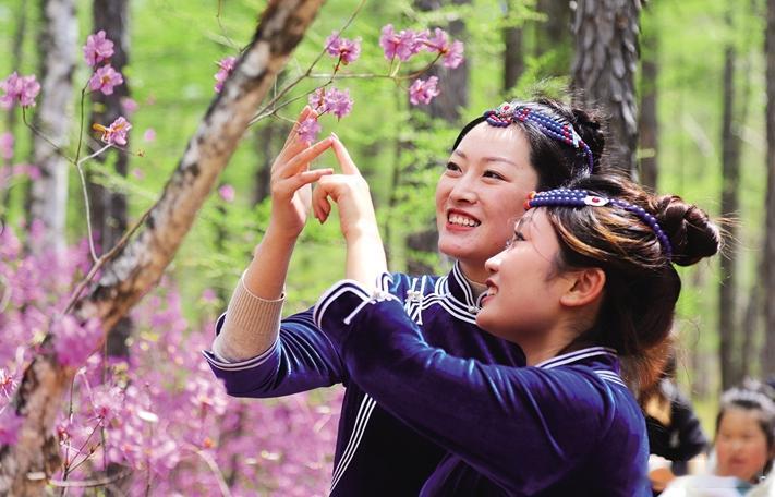 如果要问春天的#阿尔山# 是什么味道，那一定是充满杜鹃的花香。5月的阿尔山，皑皑