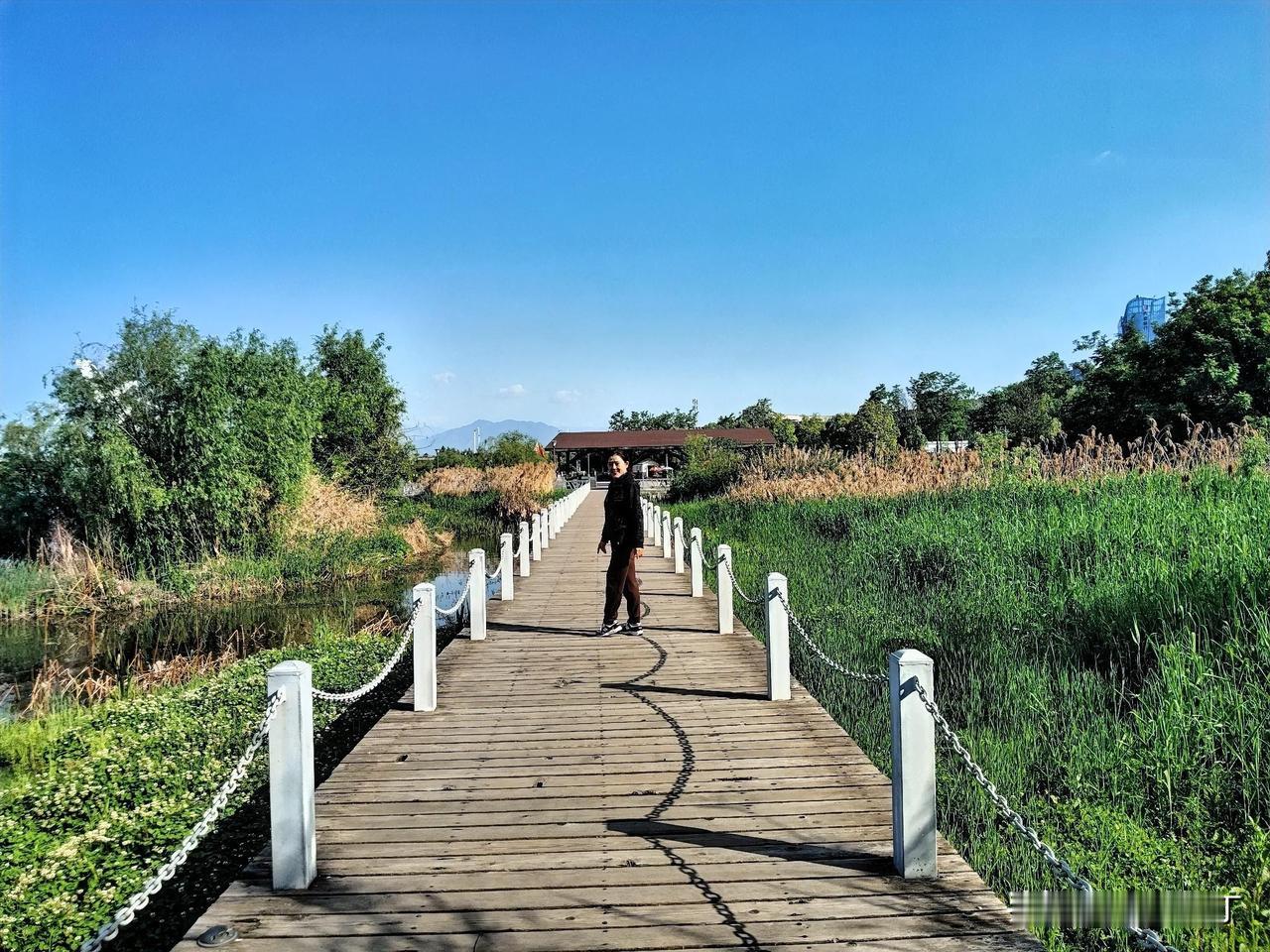 落日尽力竞晖艳。