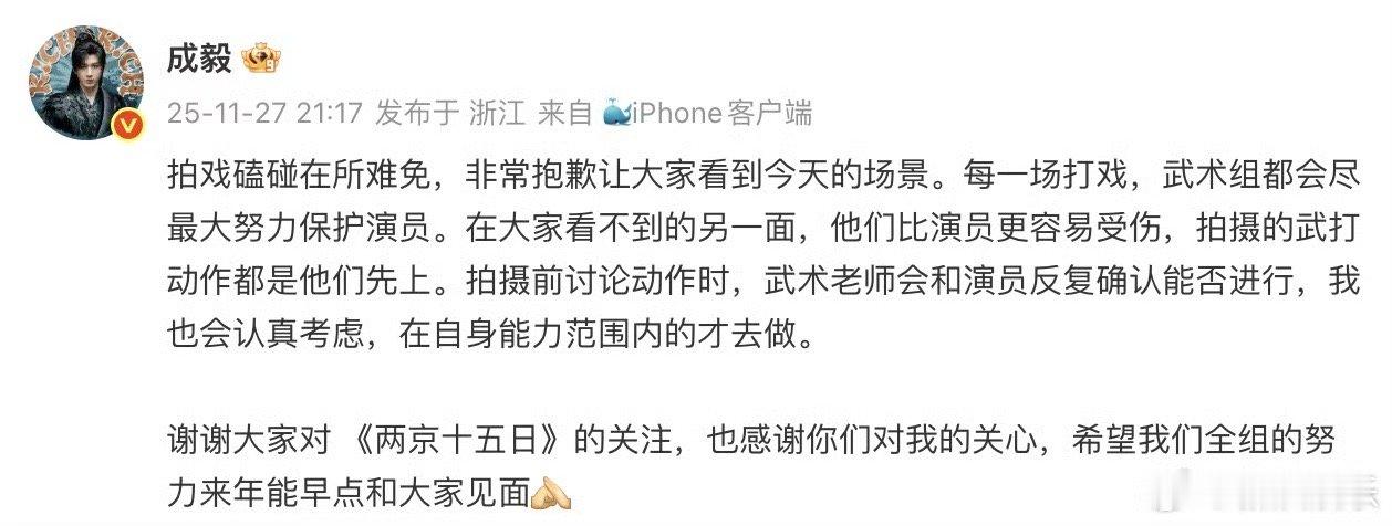成毅回应两京十五日拍摄受伤成毅报平安 27日，就《两京十五日》威亚戏撞头一事发文