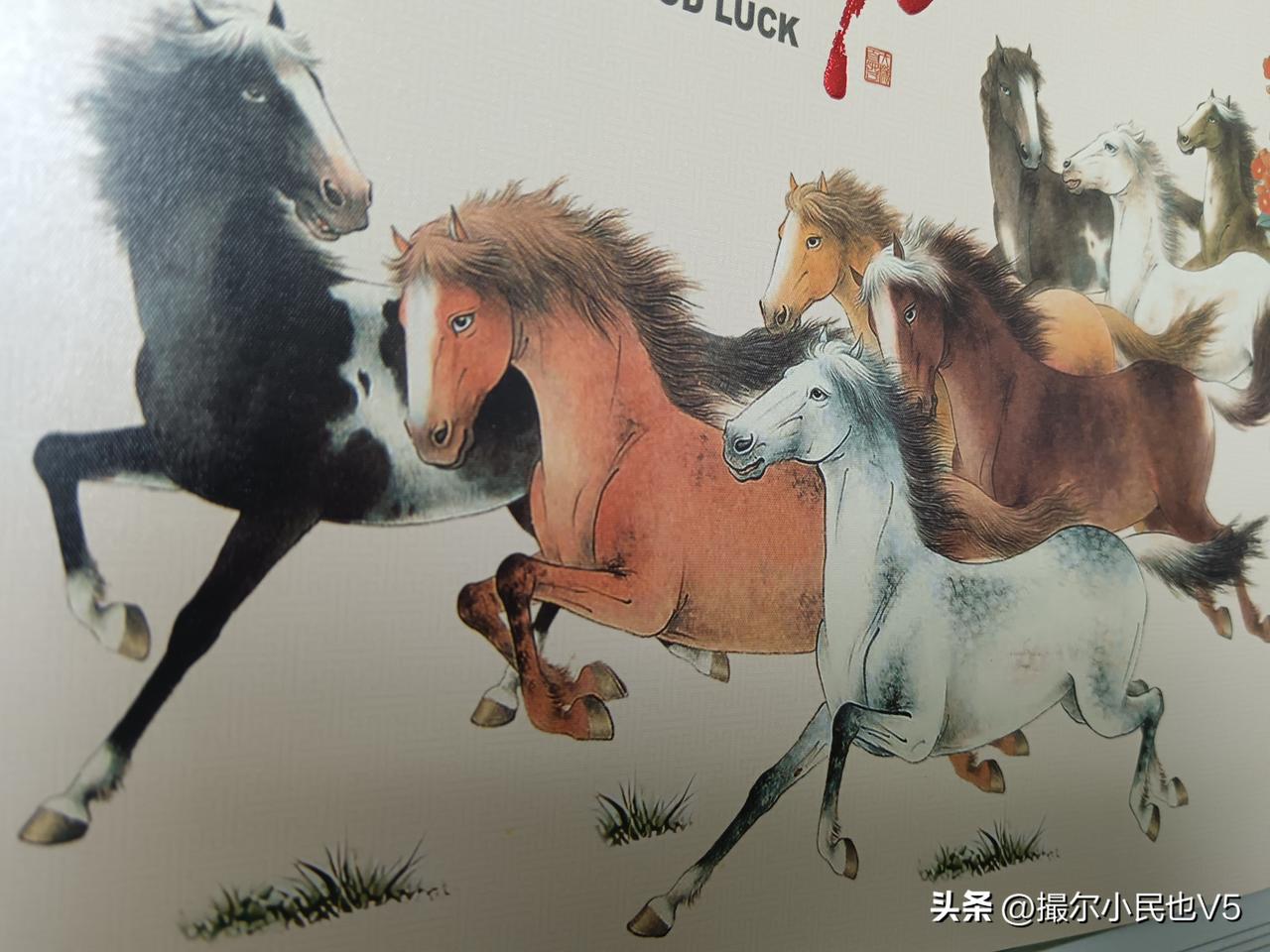 林子大了，什么样鸟都有；同理，国家大了什么样的人一样有；
那么，下面哪类人是你最