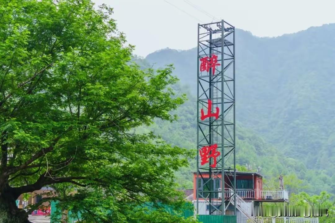 五一假期你外出旅游了吗哪里也没去，天天吃大席，今天4号，有三家，两家红事，一家白