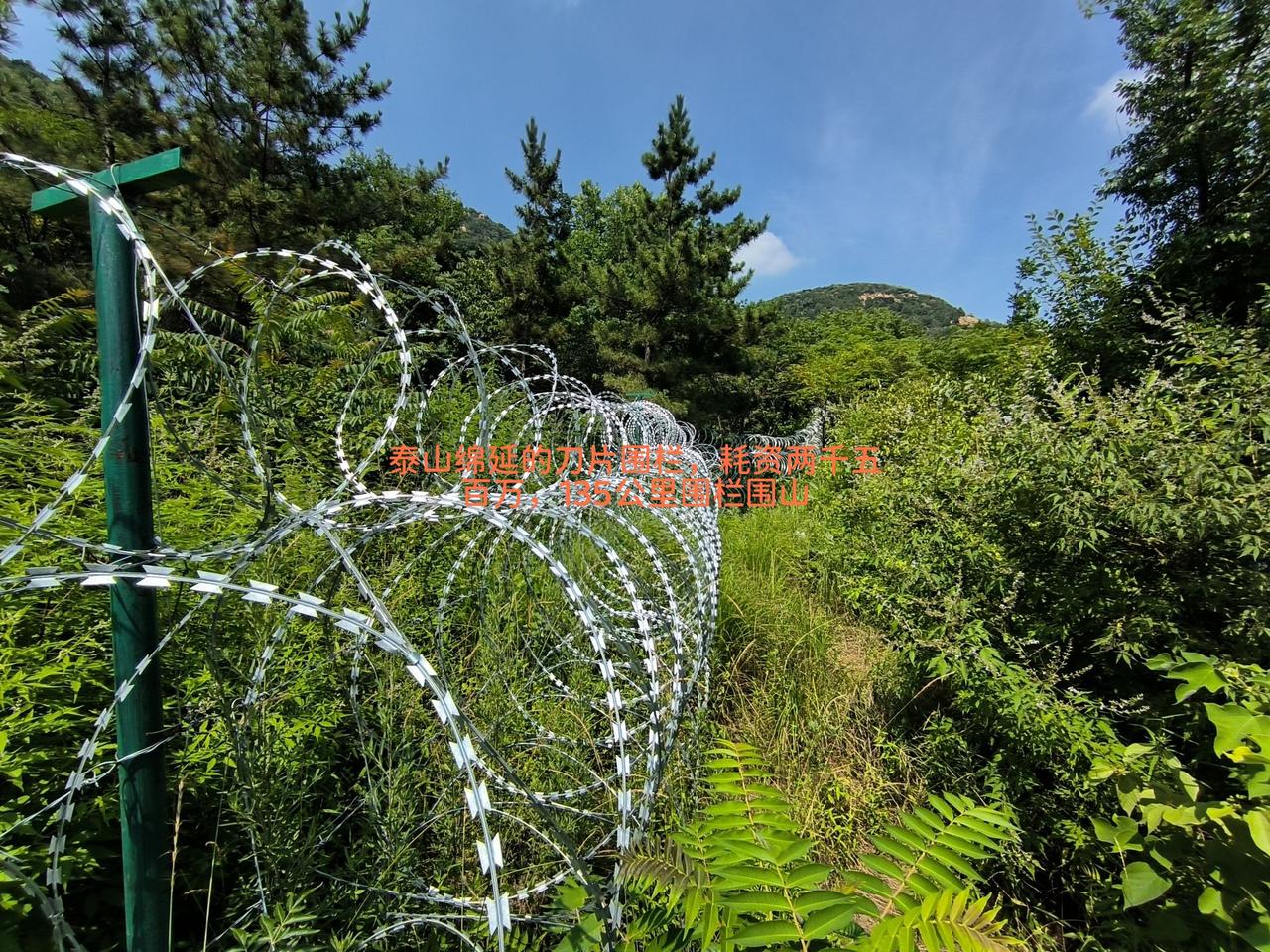 门票割韭菜，割完这茬没下茬
 
很多人只看到泰山围山封野路，却很少有人深究：这一
