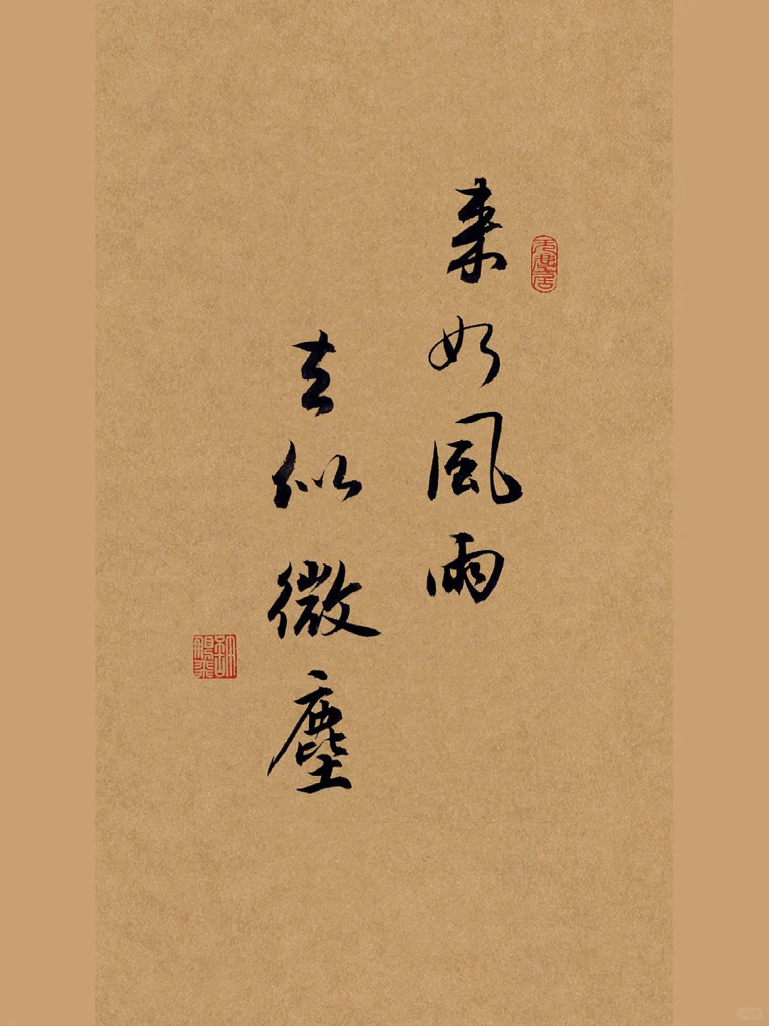 毛笔字｜行书书法｜练字：来如风雨，去似微尘