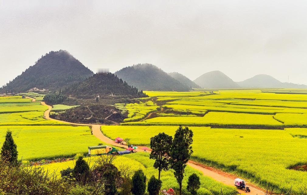 大学的师姐家的孩子，物化地的学生，女孩子，这次高三的模拟考试，数学就考了60几分