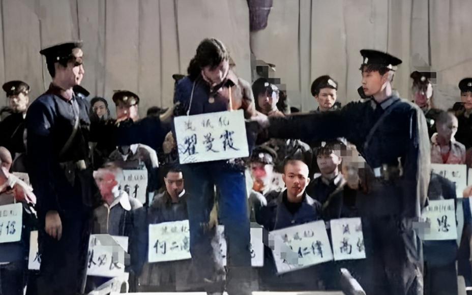 1983年，一位年轻美貌的女子被押赴刑场执行死刑，即将执行死刑的时候，翟曼霞在临