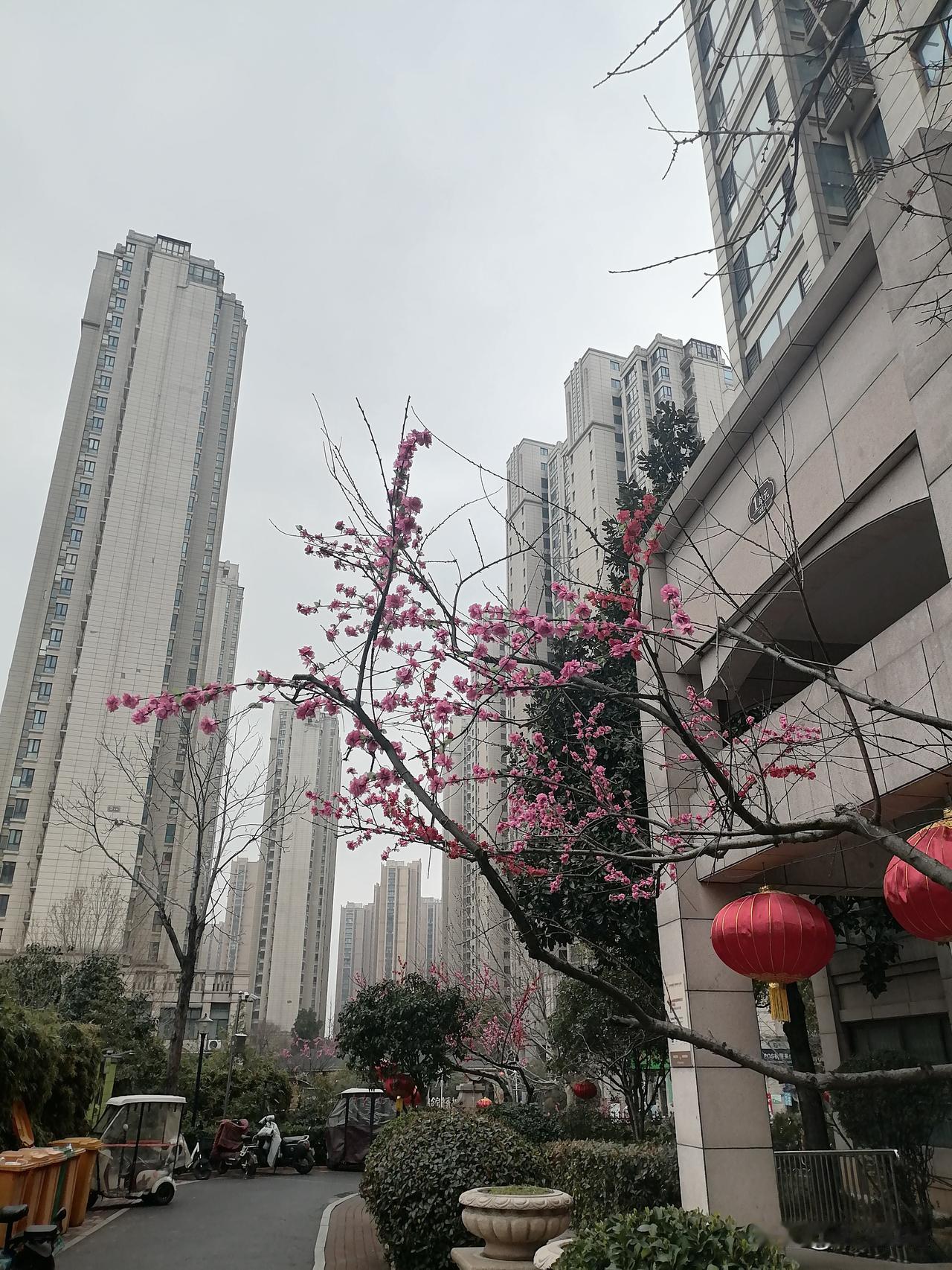 晒图笔记大赛高层住宅如果质量非常的好，绿化以及配套完善的话，实际上，居住感是非常