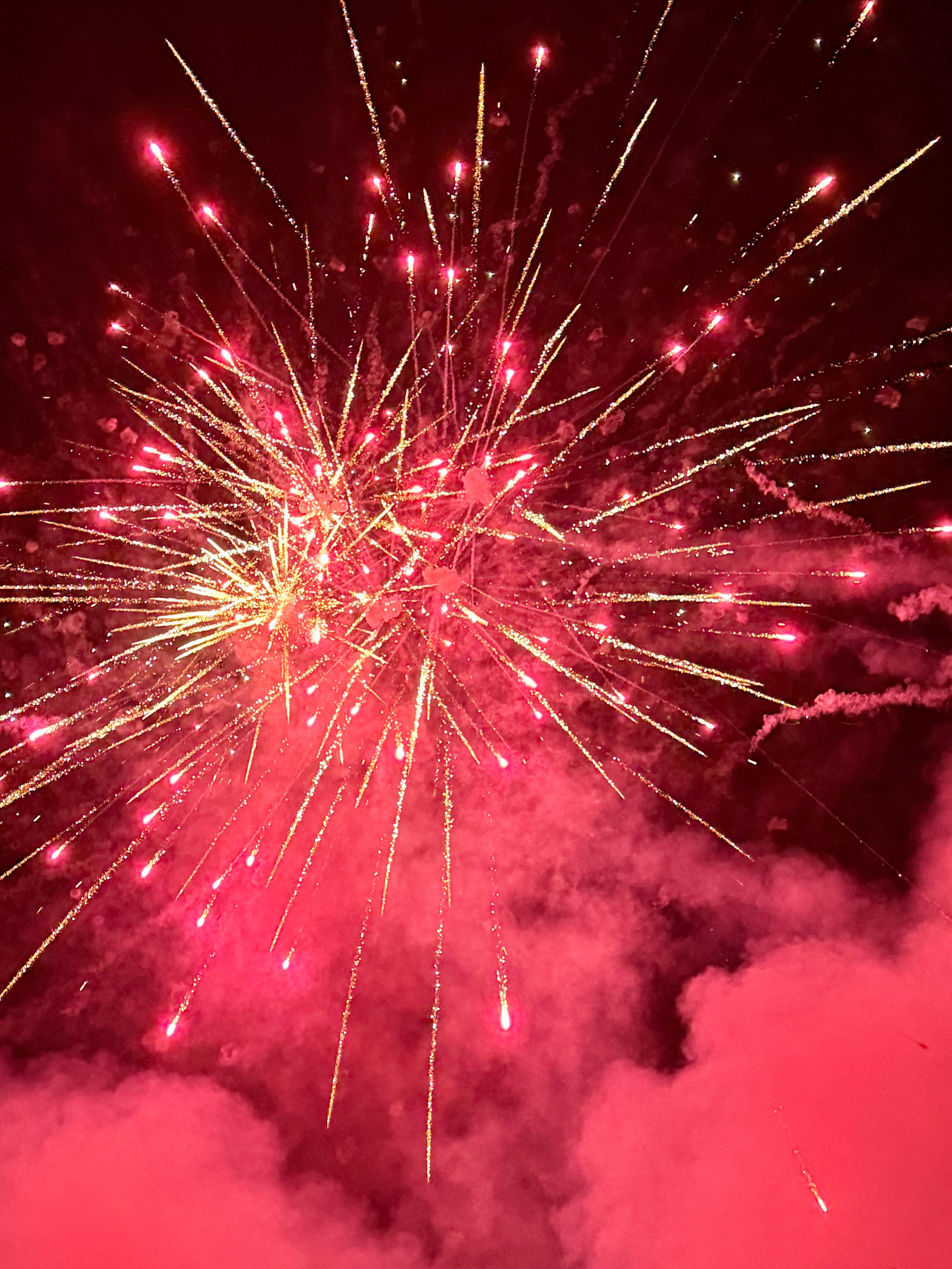 新年快乐！！每一年家里人都会如约而至的大烟花🎆生活上被蹂躏起码家里还会得到很多