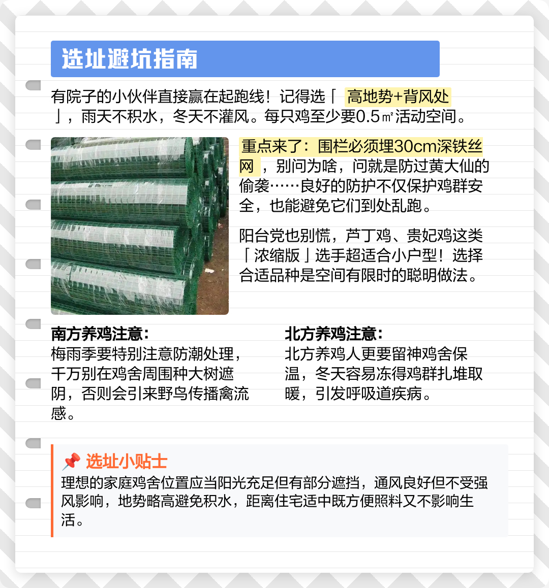 养殖场接到1亿颗鸡蛋大单 庭院优先选高地势背风区，南方需防潮，北方重保温，忌种大