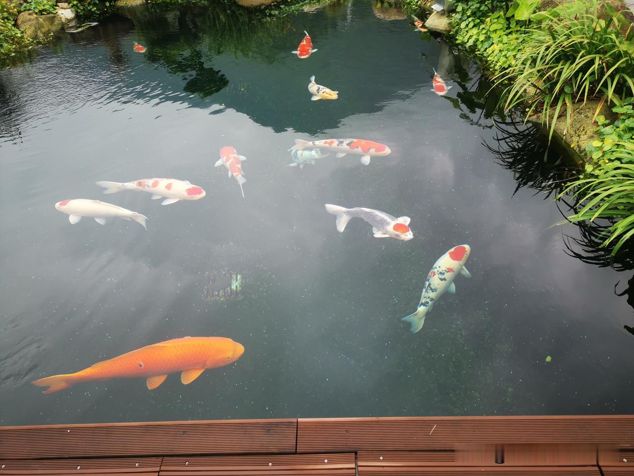 007期双色球趋势分析

上期开出4大2小，偶数独占鳌头，28尾继续牛，小尾升温