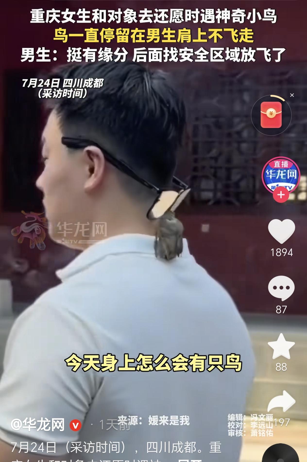 四川成都，一对情侣前往寺庙还愿，没想到在还愿过程中，他突然被一只小鸟主动贴近，全