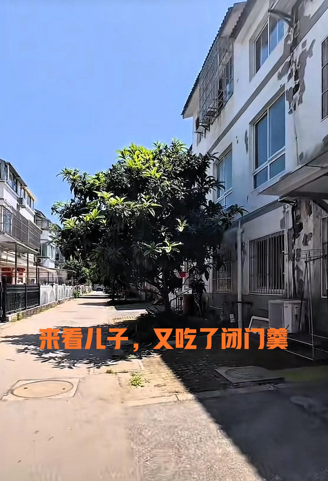 败家仔不请自来看儿子，又吃了闭门羹。正午时分，烈日当空，太阳光直直砸向地面，街道