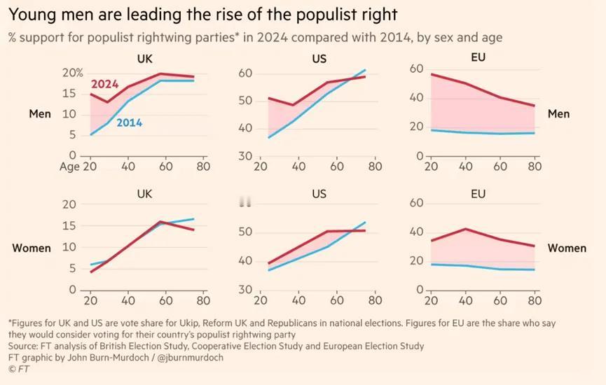 年轻男性对右翼民粹主义的支持率上升，推动着民粹右翼势力的崛起。

图片来源于网络