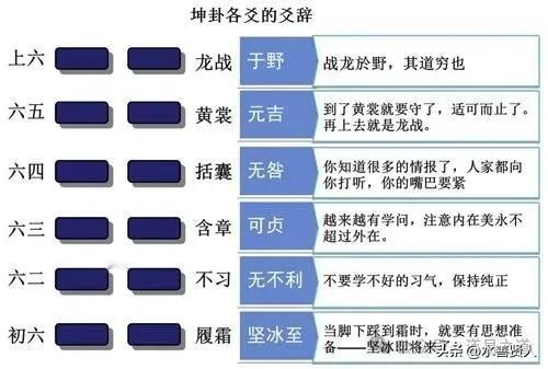 解读（易经的智慧探讨）孔子文言传
《易经的智慧探讨：孔子〈文言传〉的智慧启迪》