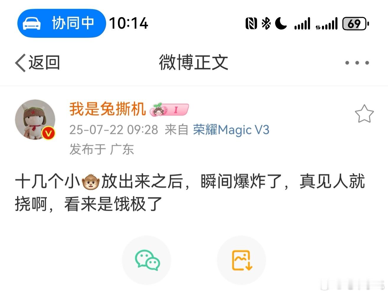 欲使其灭亡，必先使其疯狂 ​​​
