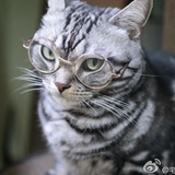 暖心呆逛逛体育