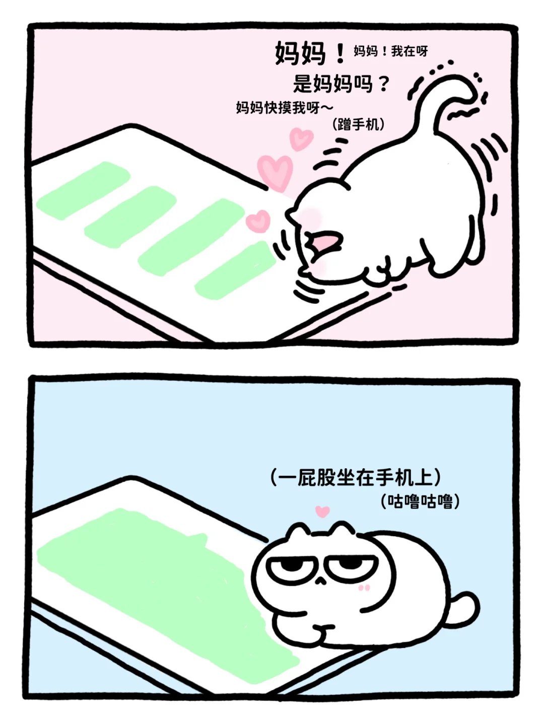 如果小猫有手机📲