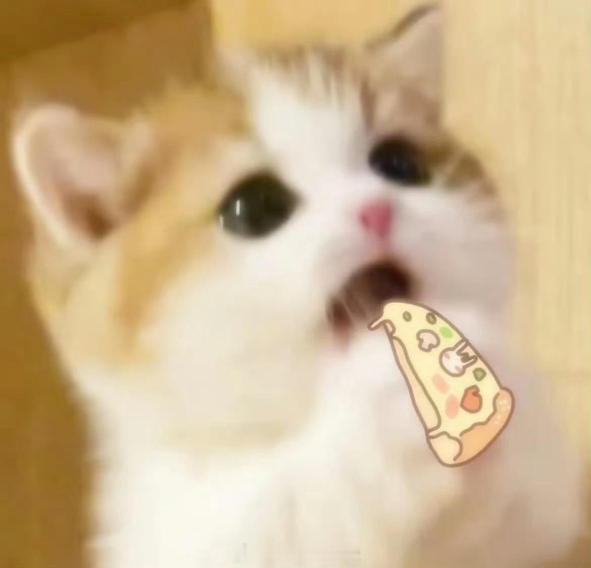 sinsin吃东西 