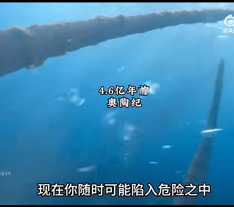 seedance制作的人类进化史科普视频AI视频生成赋能知识科普，生动还原人类进